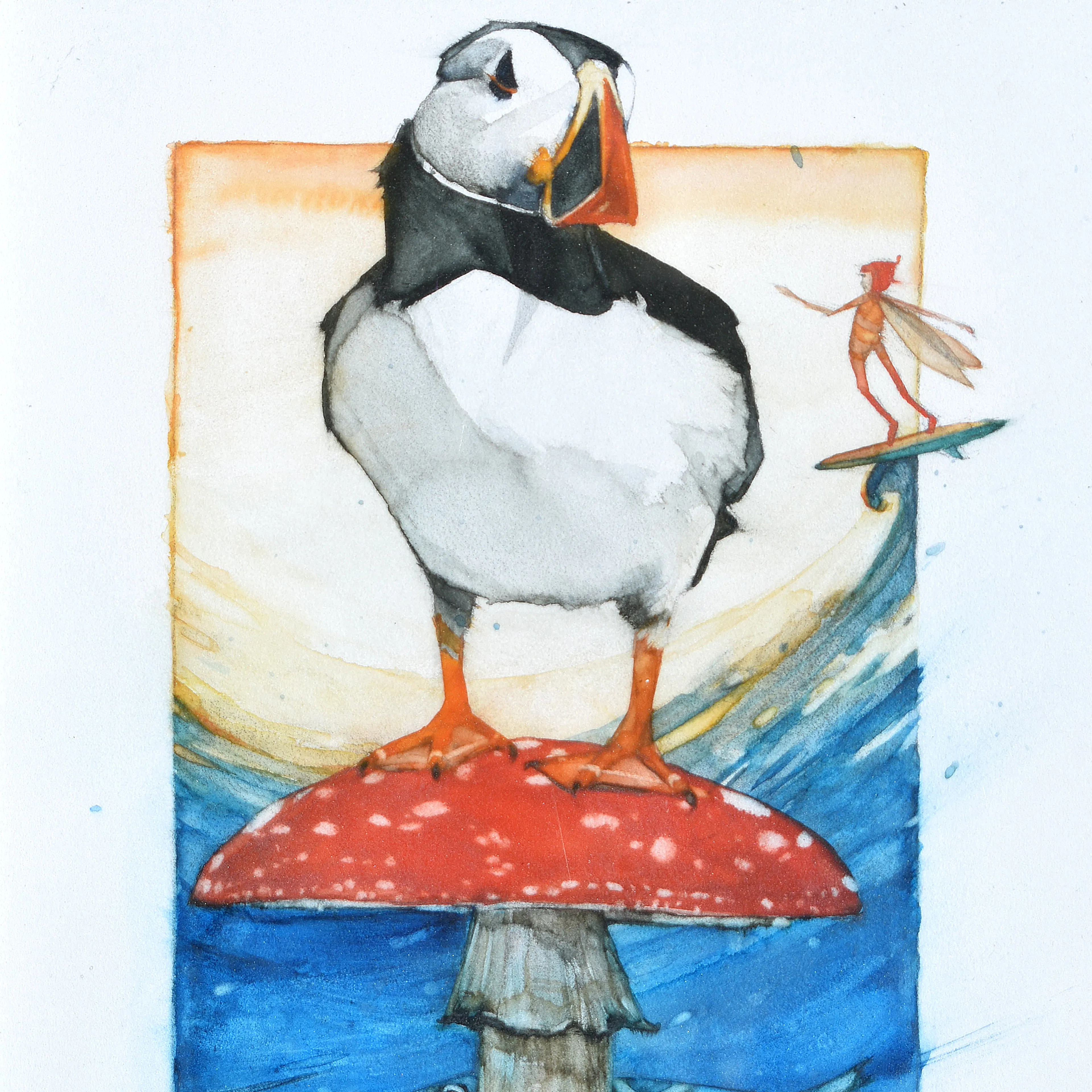 Puffin Surf