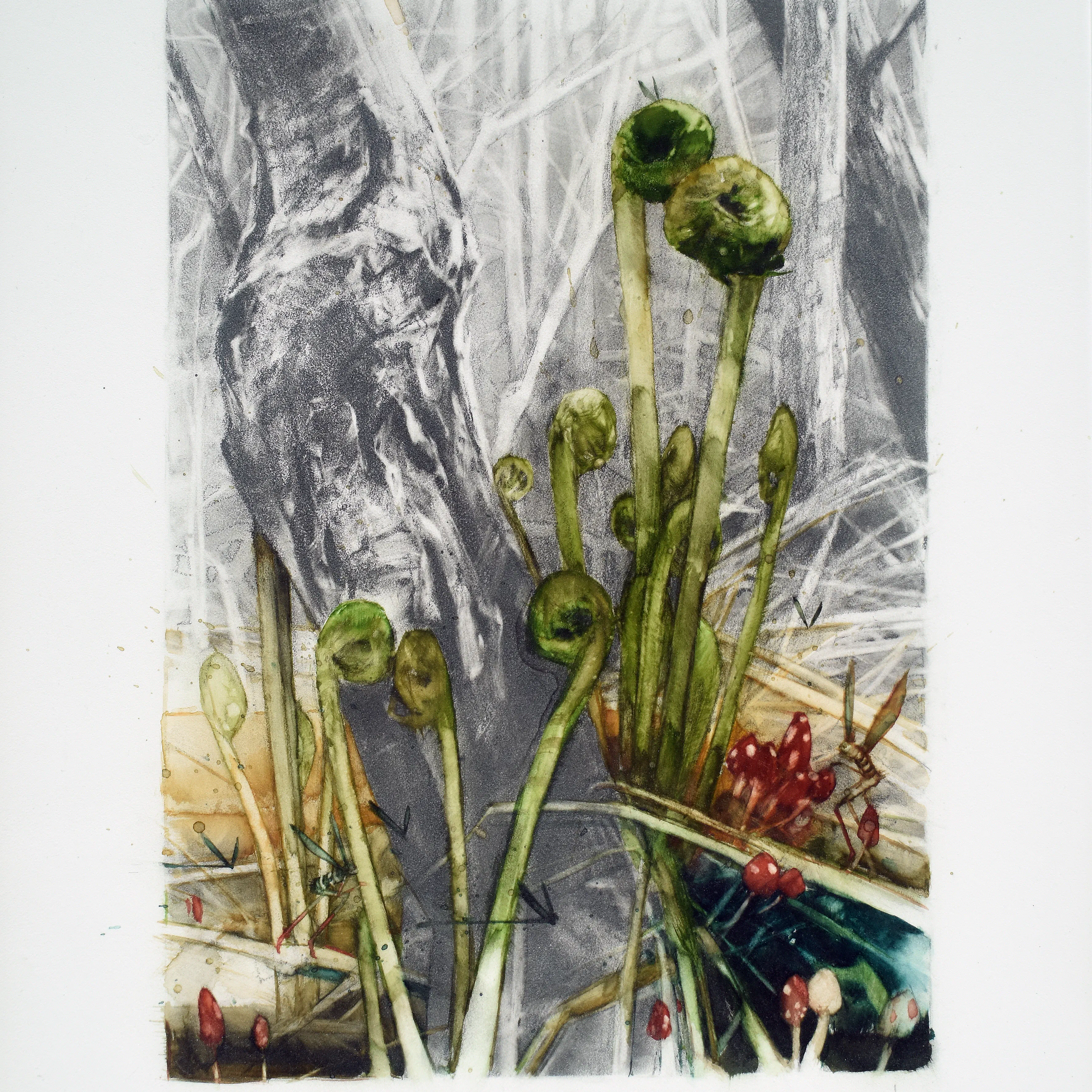 Spring Fiddles