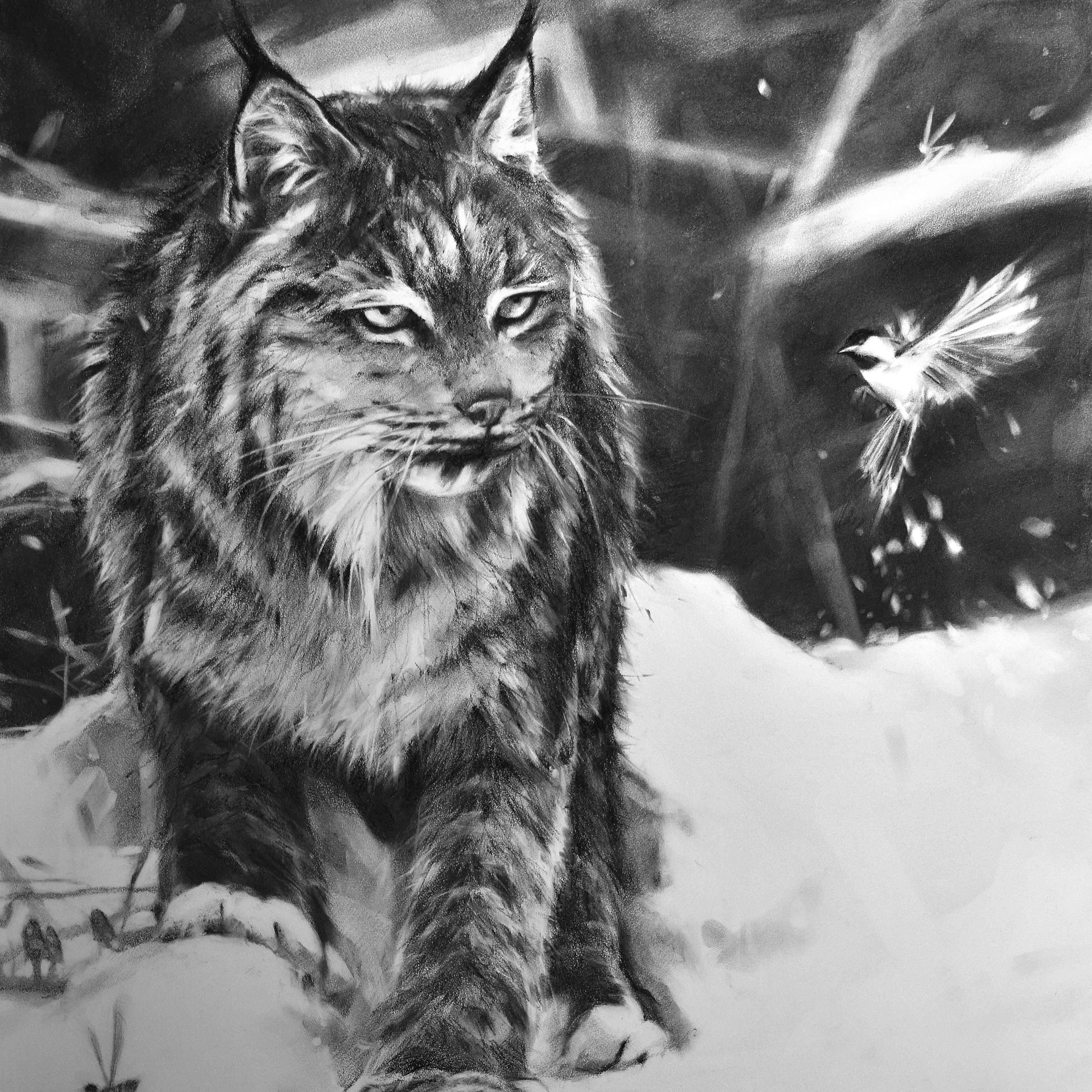 On the Prowl
