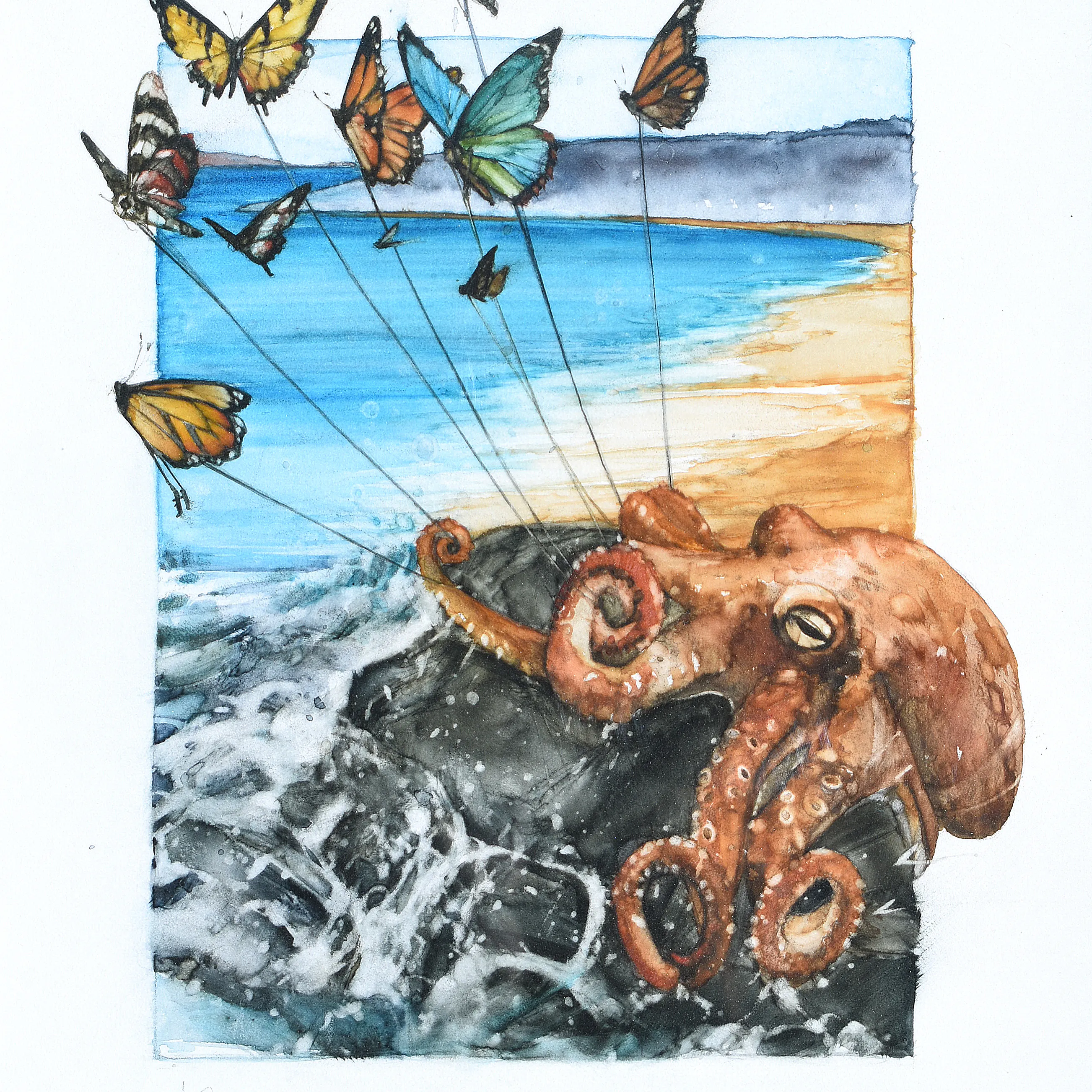 Rock-topus