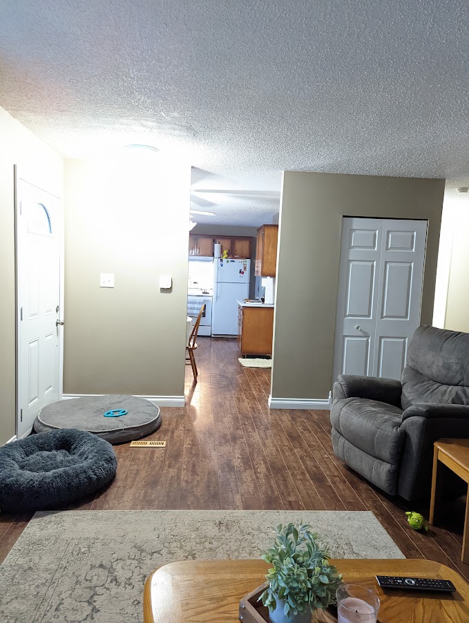 Living room, pre-renovation