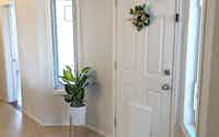 Staged entryway with plant and wreath - Hint of Honey
