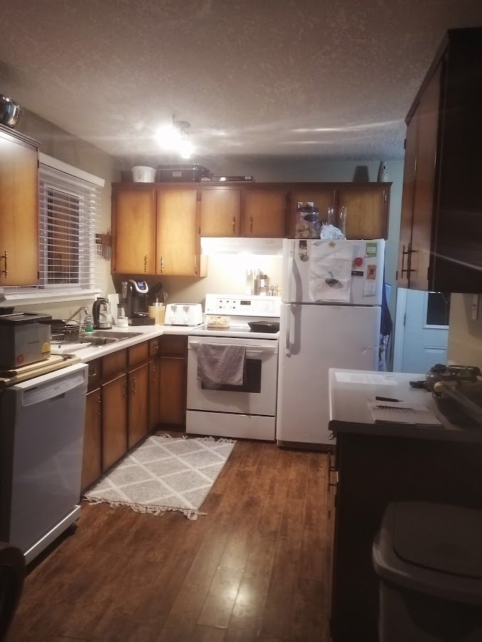 Dated looking kitchen pre-renovation