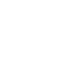 Icon of a laptop