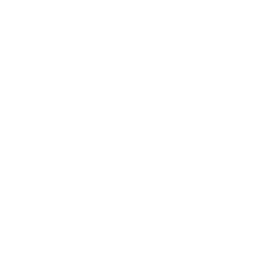 Illustration of a person, indicating a user