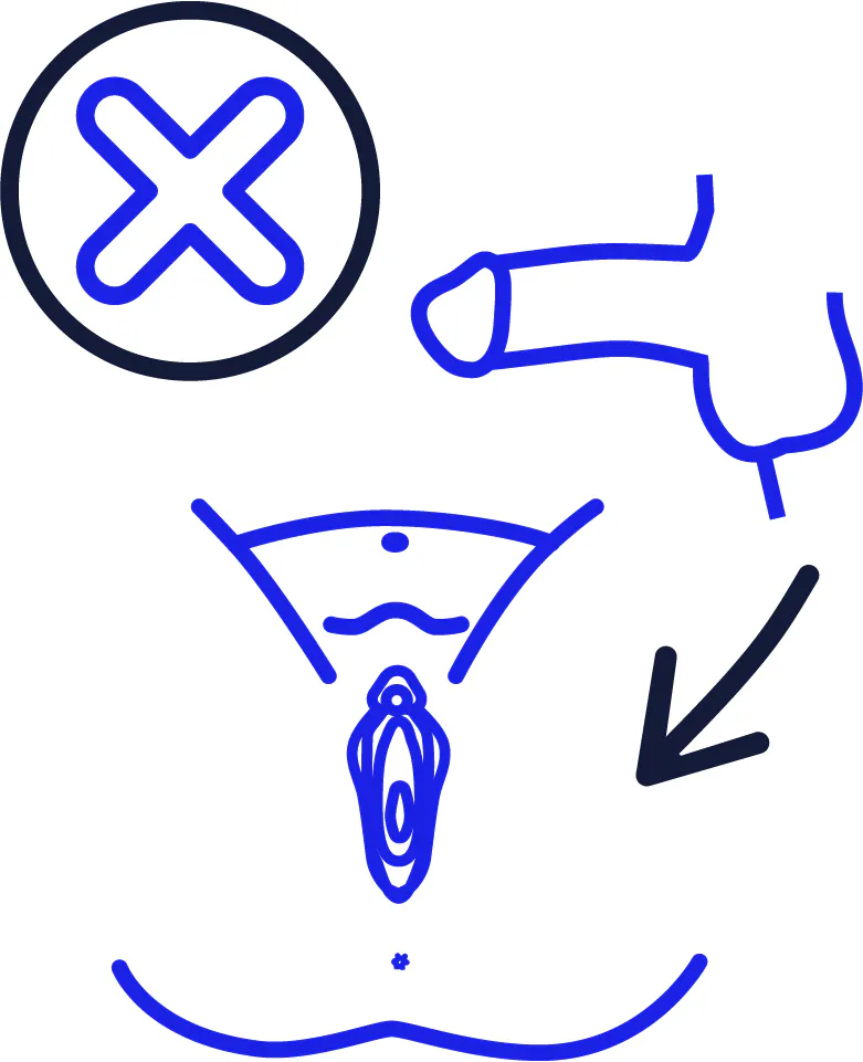 An arrow pointing from a penis to a vagina. Above them is a cross.