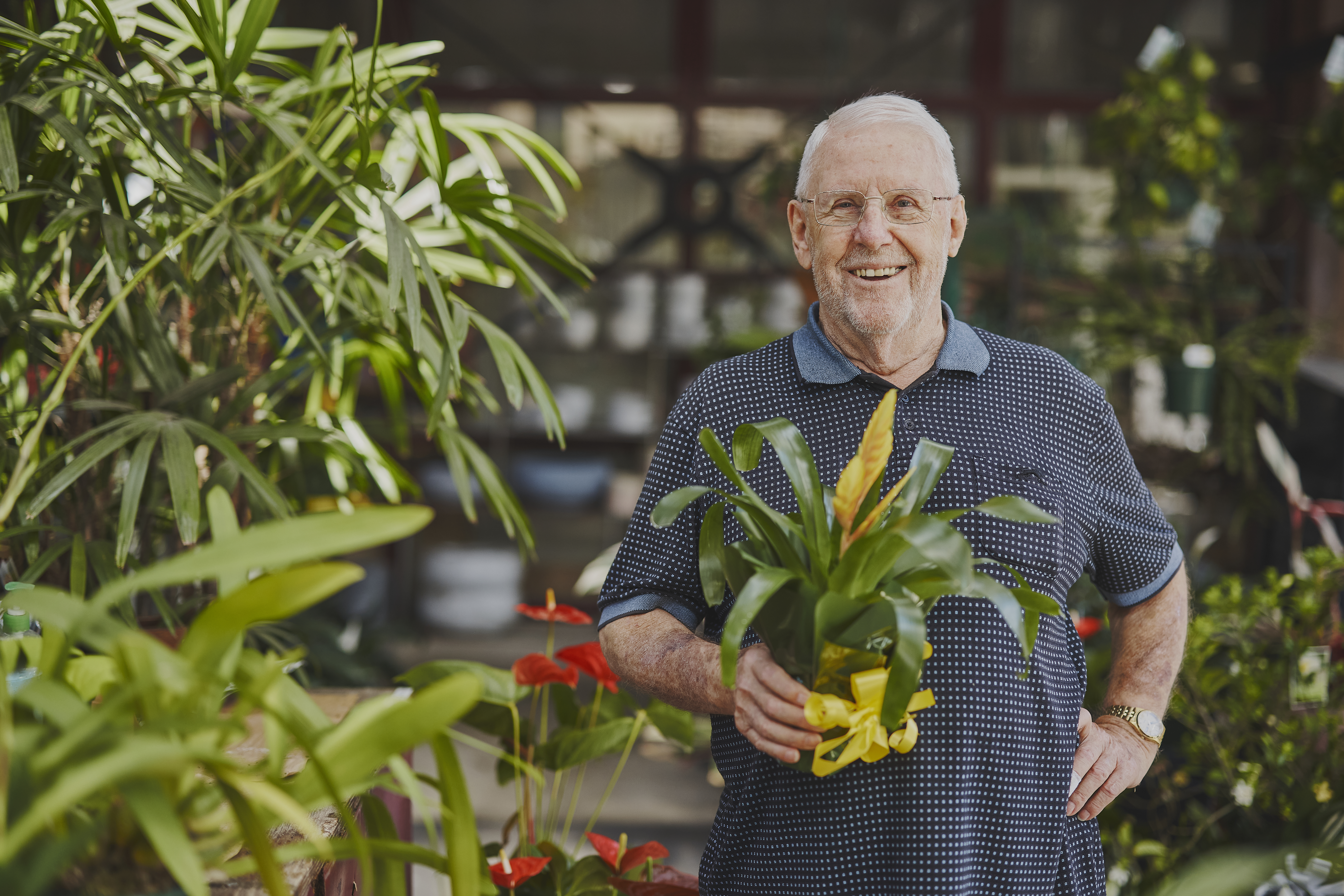 Frank is standing in a garden nursery, one hand resting on his hip while he holds a plant. He has short white hair and wears glasses.