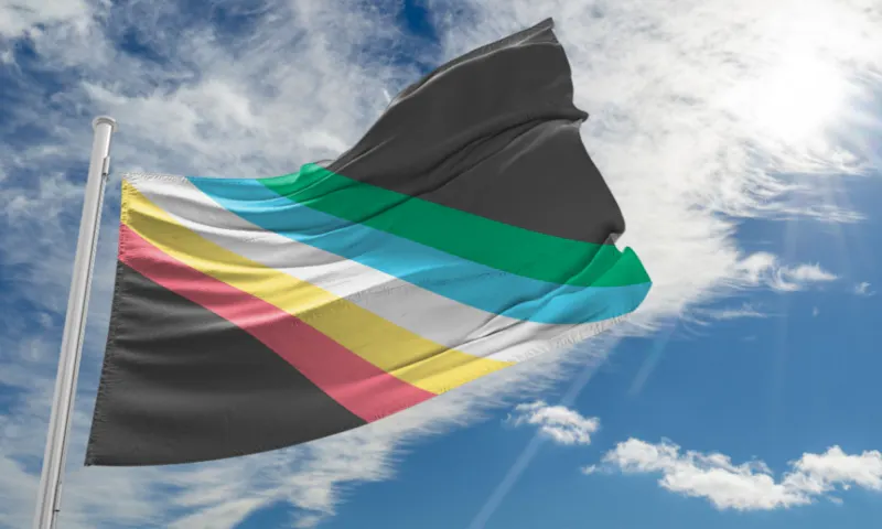 The power of pride: What the Disability Pride Flag colours mean | Hireup