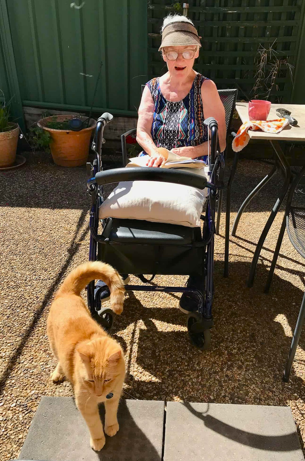 Narelle, a Hireup aged care client, is sitting outside in the sunshine. She's wearing a visa and short-sleeved top. Narelle's cat, Will, is standing near her walker. 
