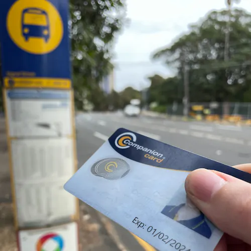 A companion card is being held towards a blue and yellow Sydney bus stop sign. There is a main road in the background. The details on the companion card have been censored.