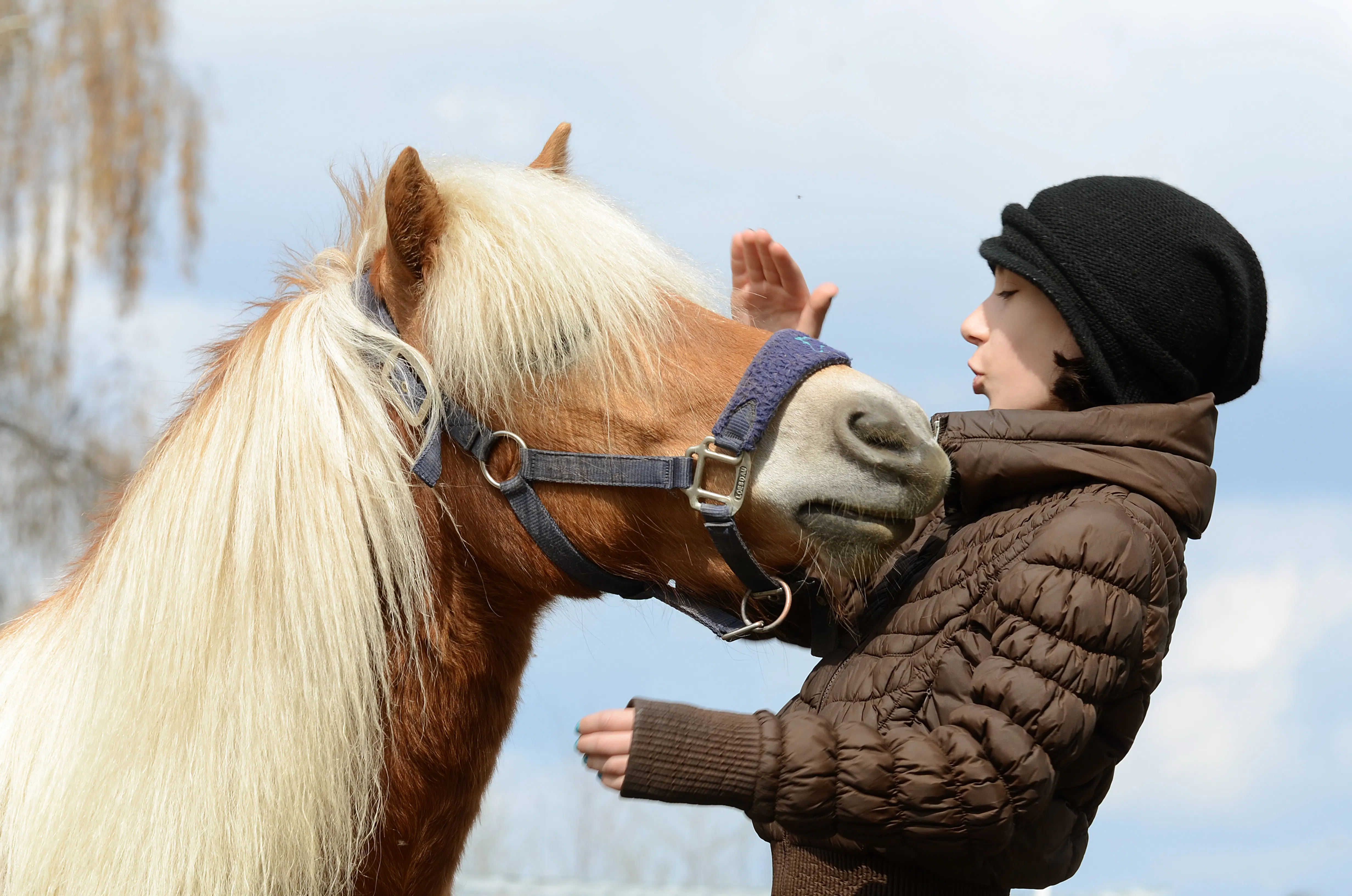 A woman is wearing a puffer jacket and hat. She pets a horse that has a scruffy mane and wears a bridle.