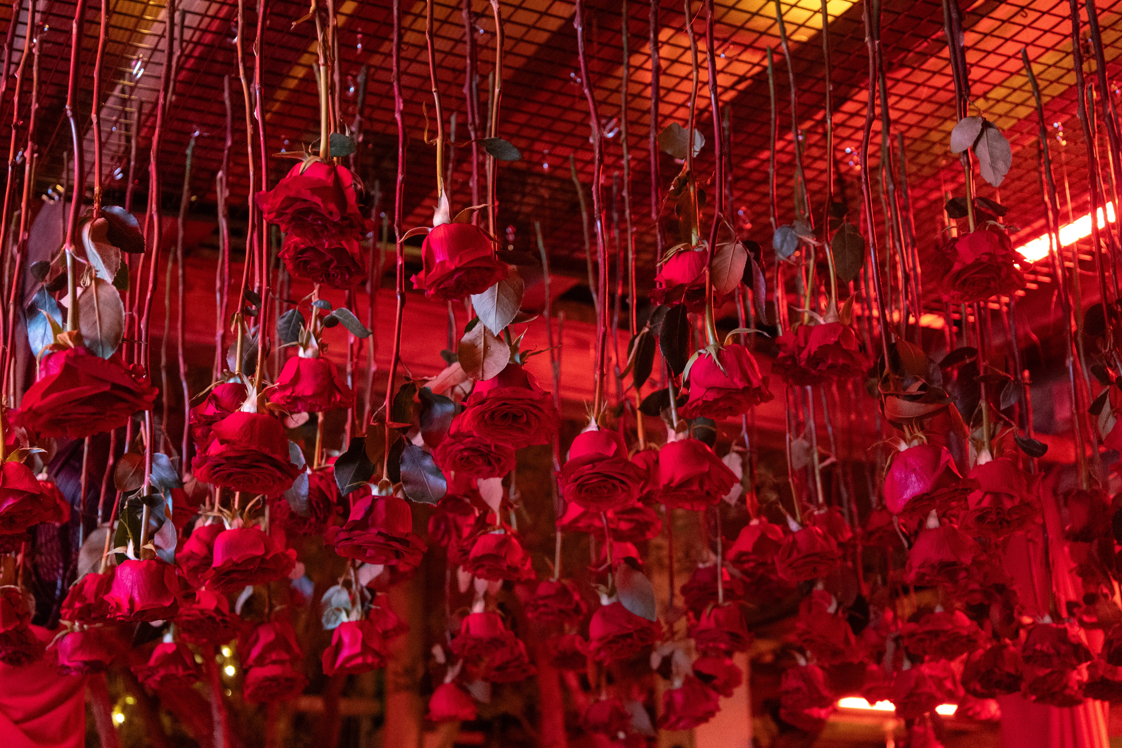 A ceiling installation of suspended blush pink roses forming a soft floral canopy.