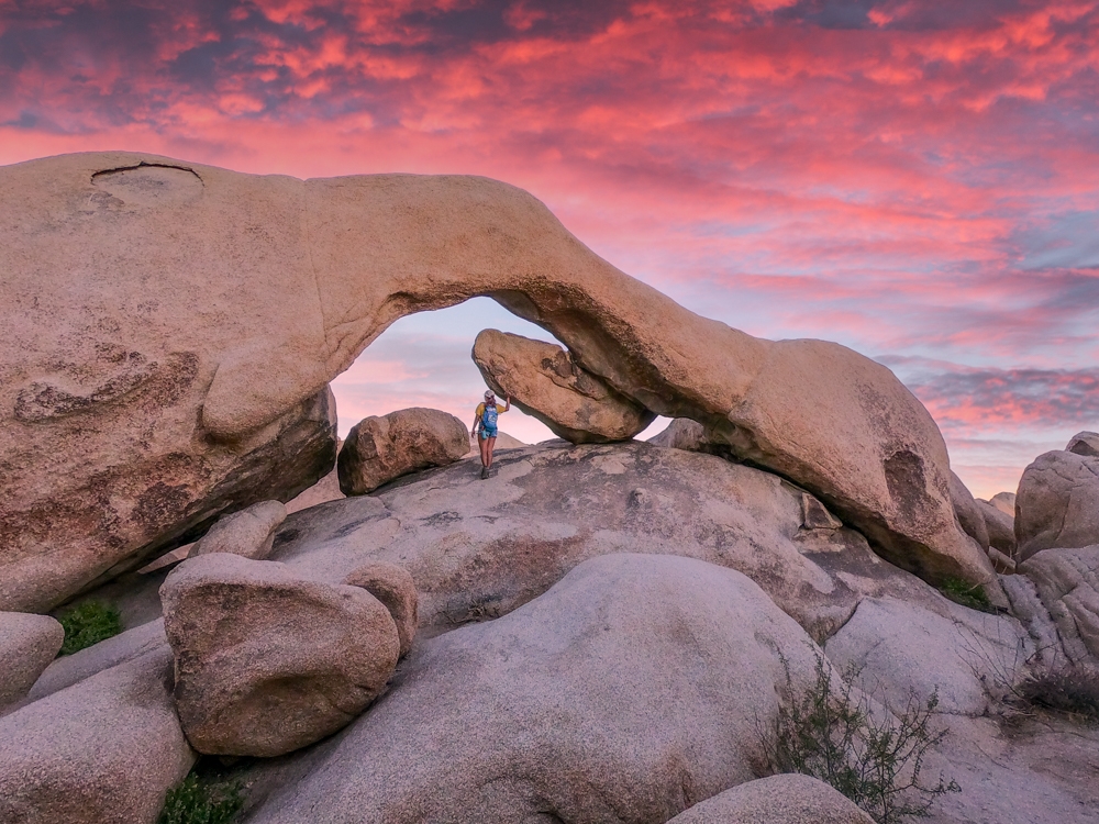 Joshua tree California Nature with rocks