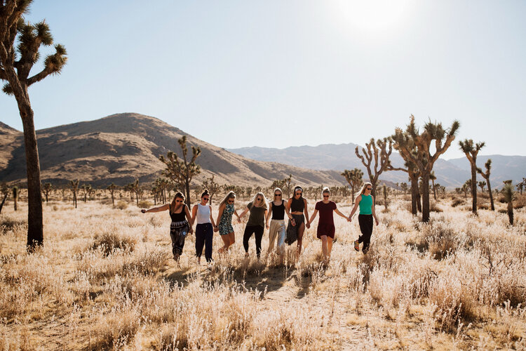 Joshua tree California Nature with people