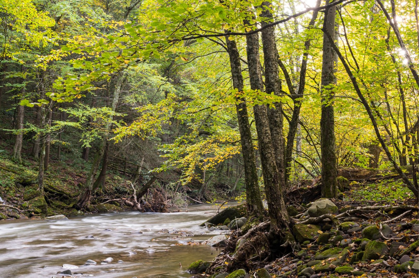 Catskill Mountains 3