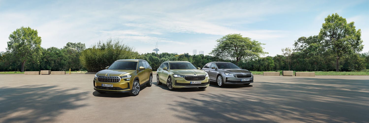 Skoda Happy Festival