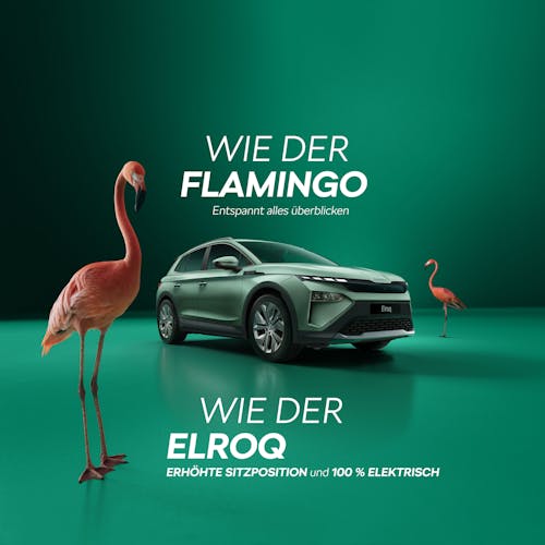 Skoda Buffet 2025 bei Autohaus Hoffmann nur am 25.01.2025 von 9-15 Uhr in Bottendorf
