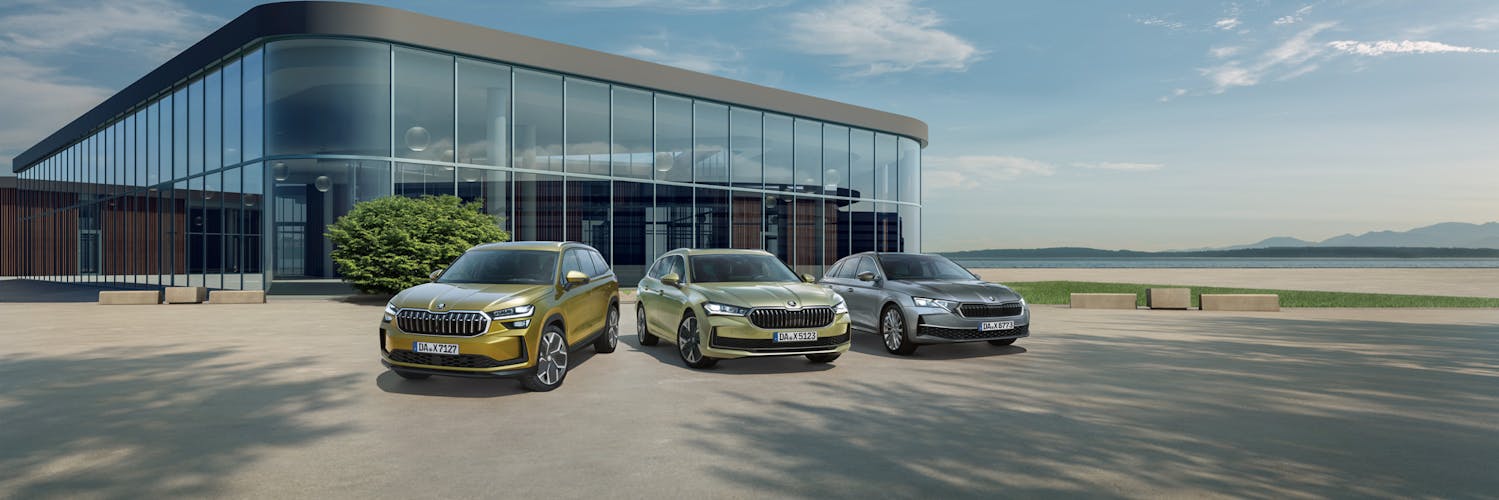 ŠKODA Wartungspaket ab 9,- € mtl.