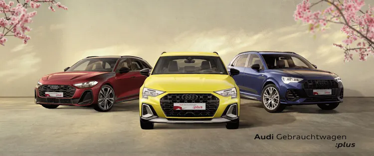Audi Gebrauchtwagen Plus Angebote