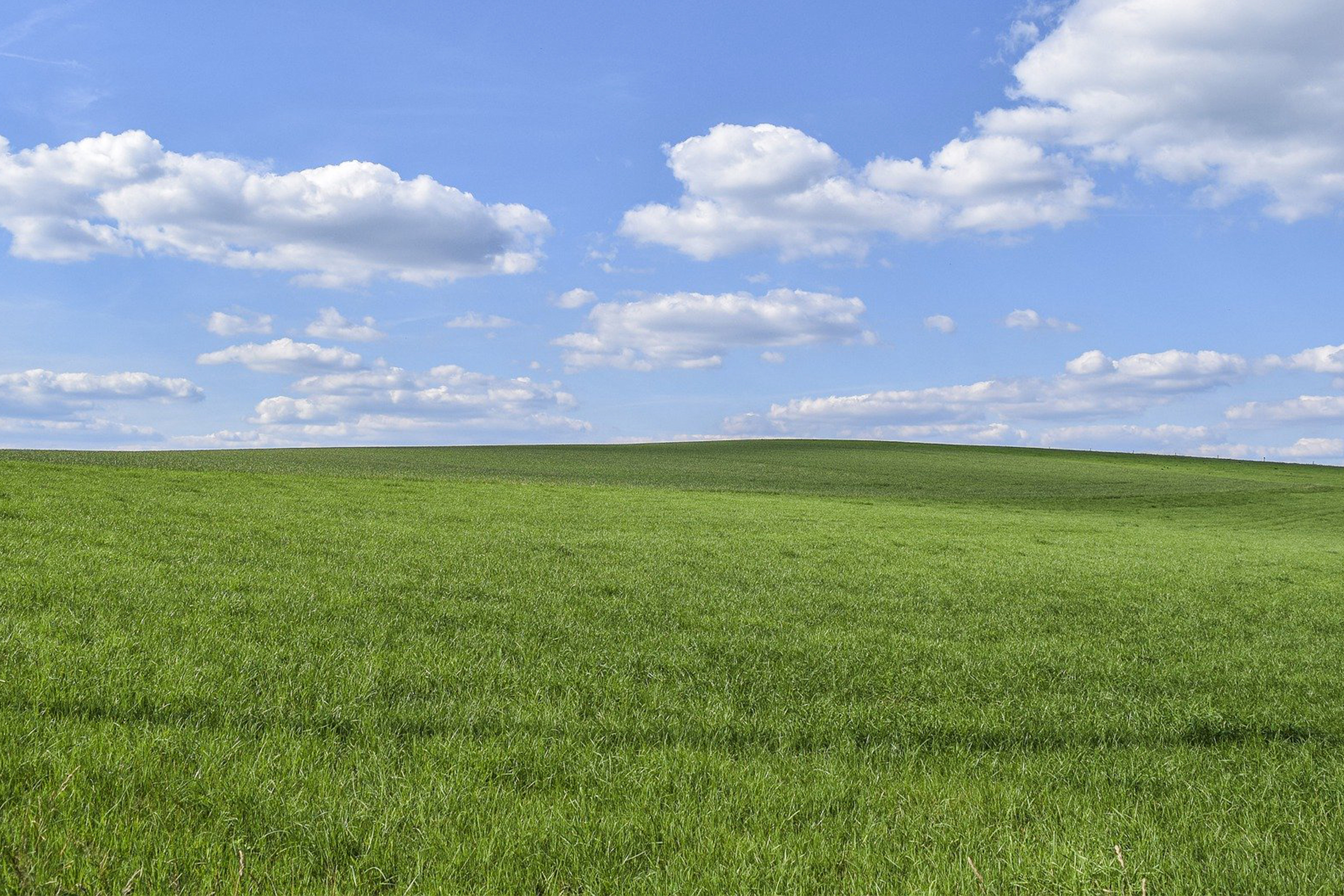 Nachhaltigkeit Autohaus Hoffmann