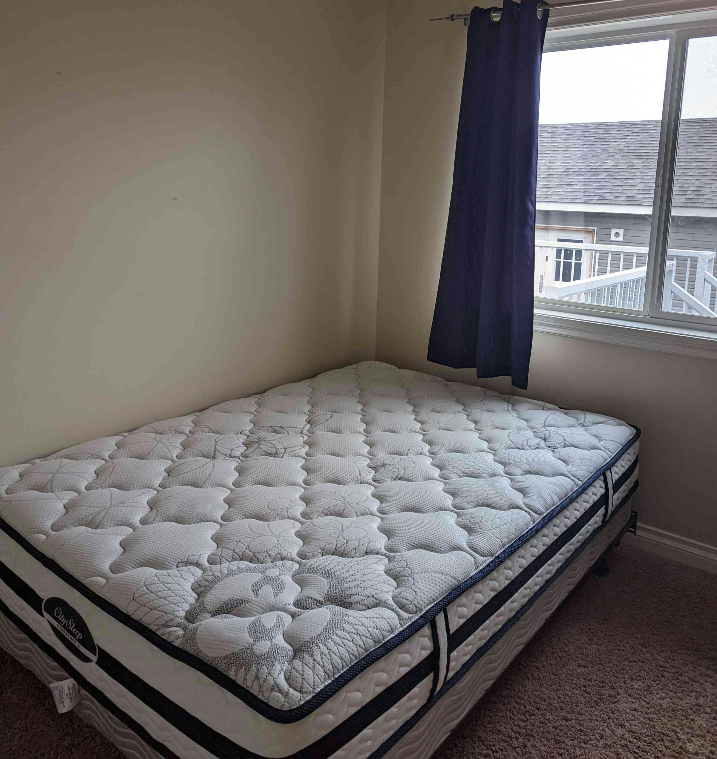 Bedroom with blue curtains and twin plush bed