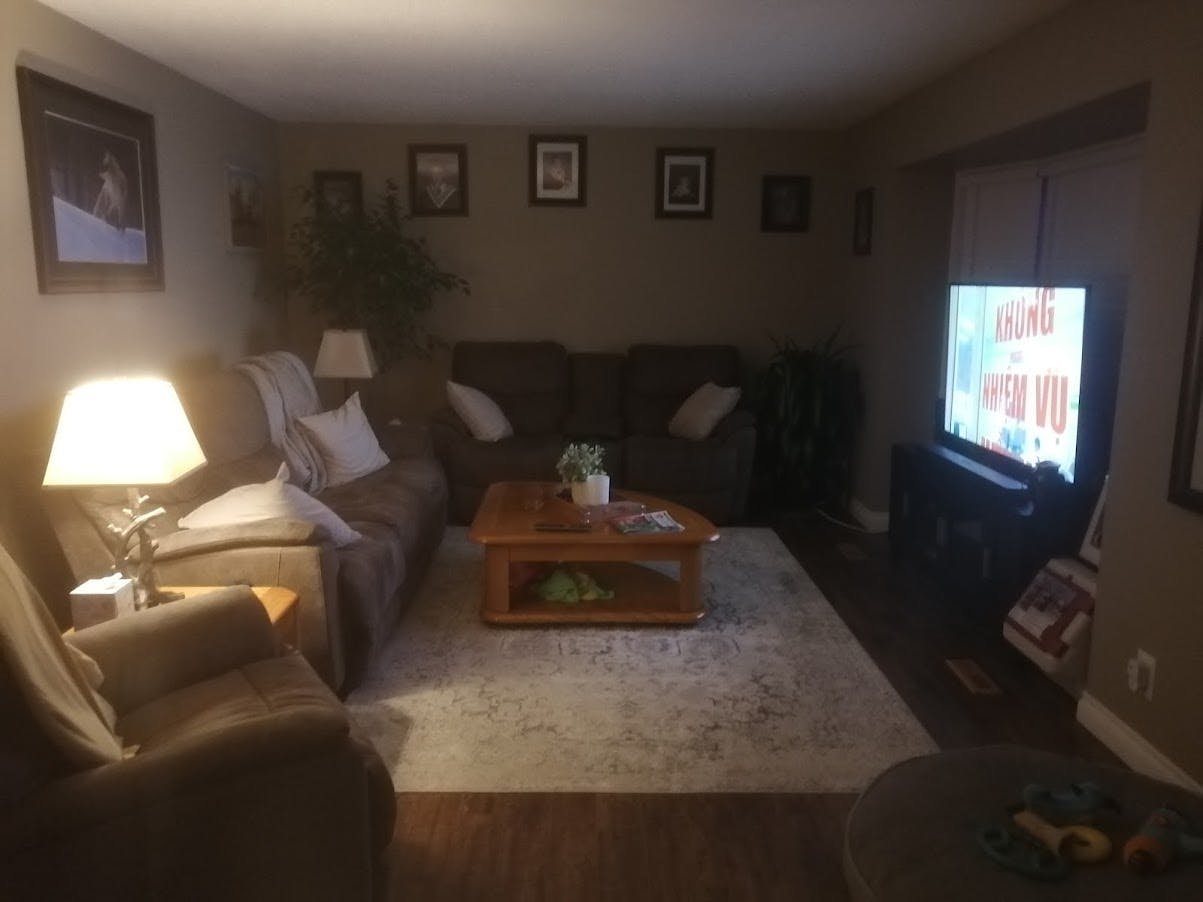 Dark living room with dark couches and throw pillows