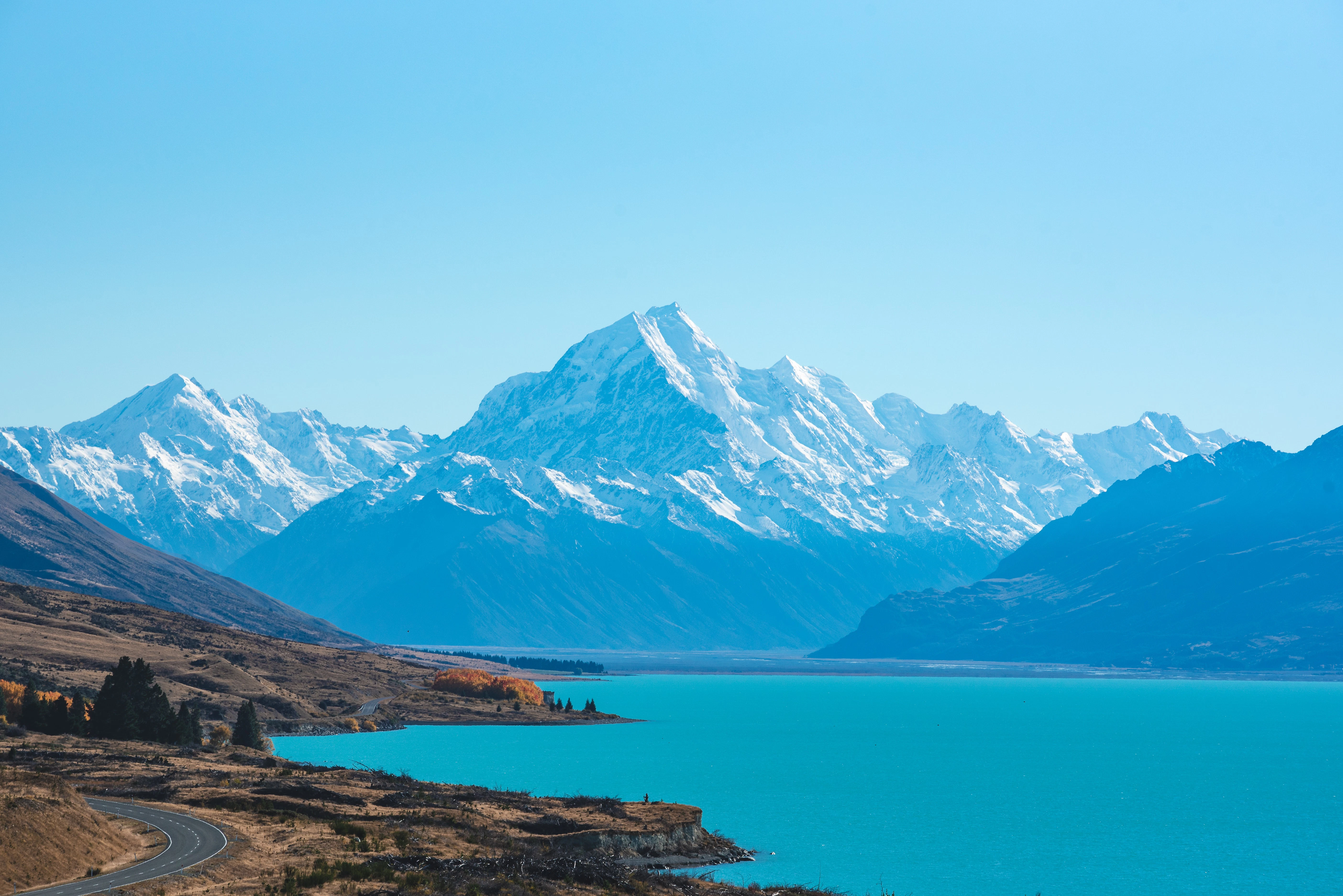 Holders New Zealand