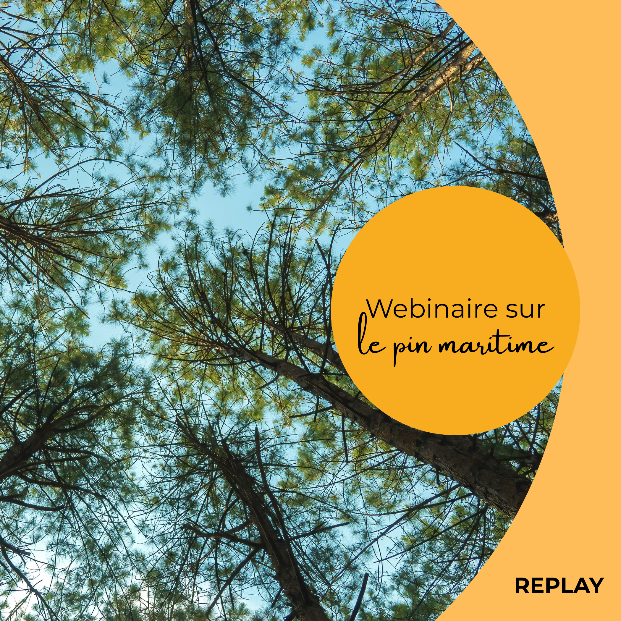 Replay webinaire
