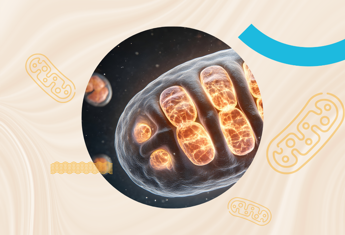 Replay webinaire : oxygénation mitochondriale
