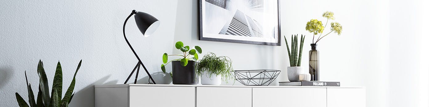 Weißes Sideboard mit Pflanzen in verschiedenen Töpfen und Vasen mit schwarzer Tischlampe, Schale und Dekor arrangiert vor weißer Wand mit gerahmten Bild