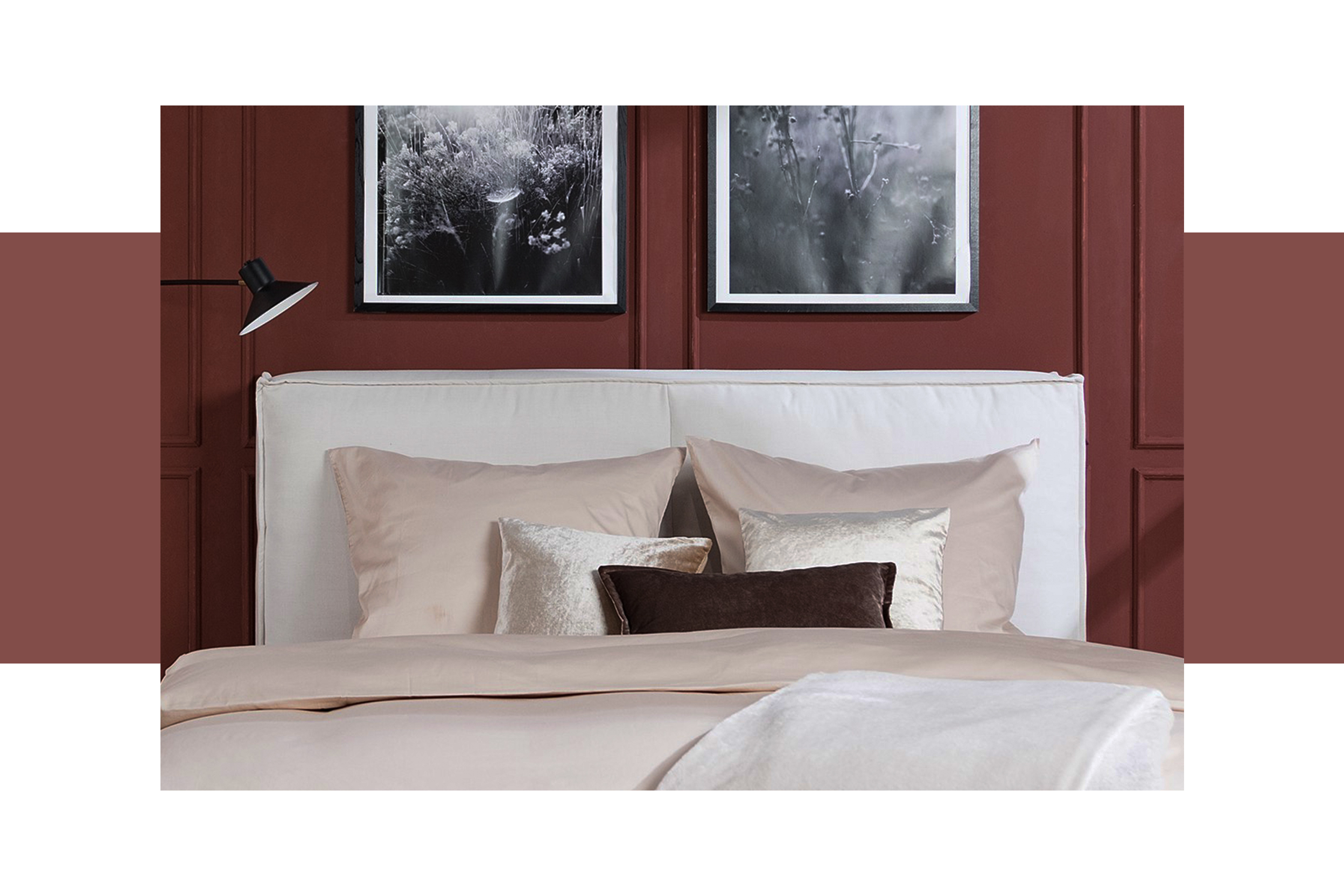 Schlafzimmer mit schokobrauner Wandfarbe und beigem Teppich, auf dem ein weißes Polsterbett mit cremefarbener Bettwäsche und schokobraunem Samtkissen steht