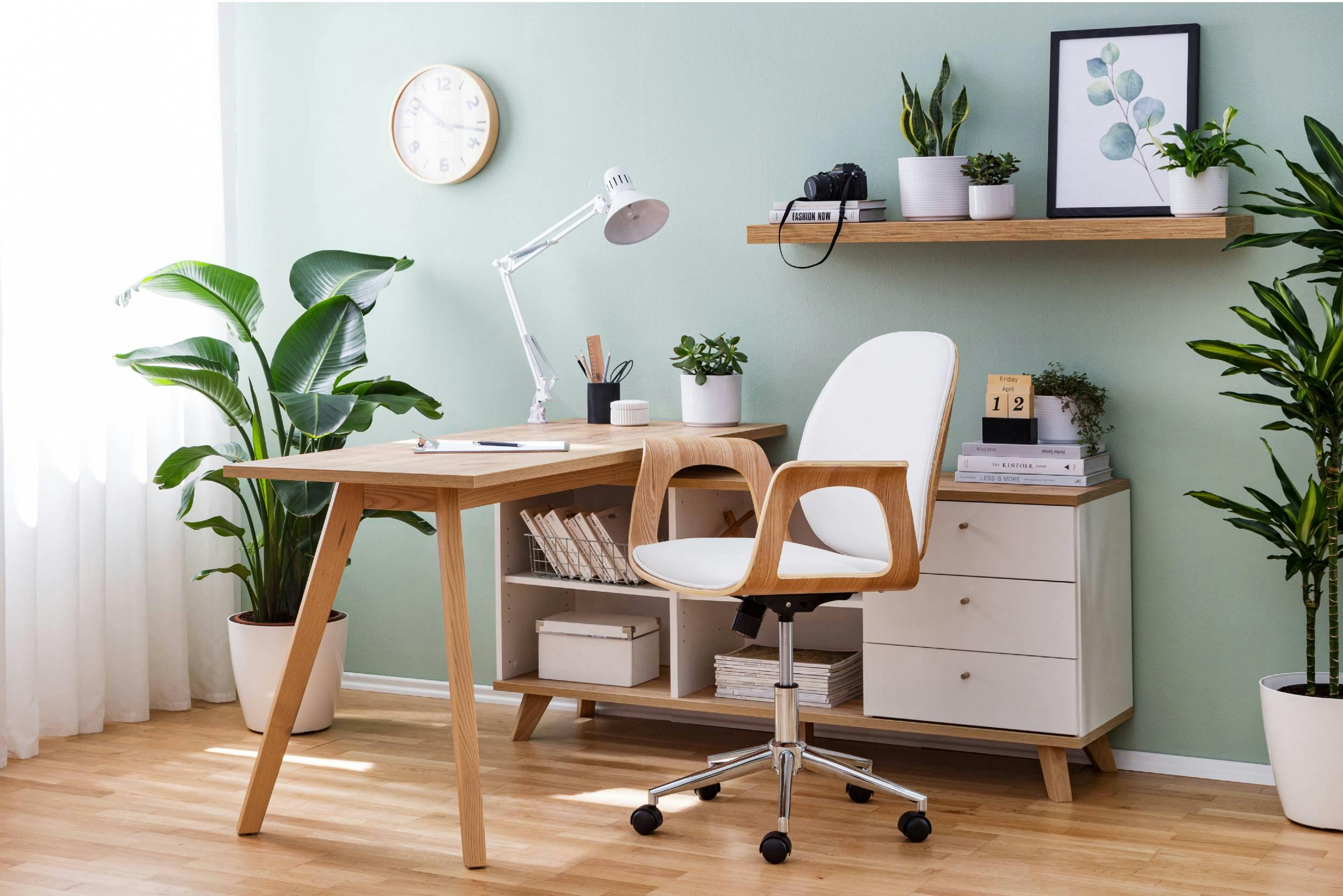 In den Raum ragender Schreibtisch mit daran stehendem Bürostuhl an zartgrüner Wand umringt von Pflanzen