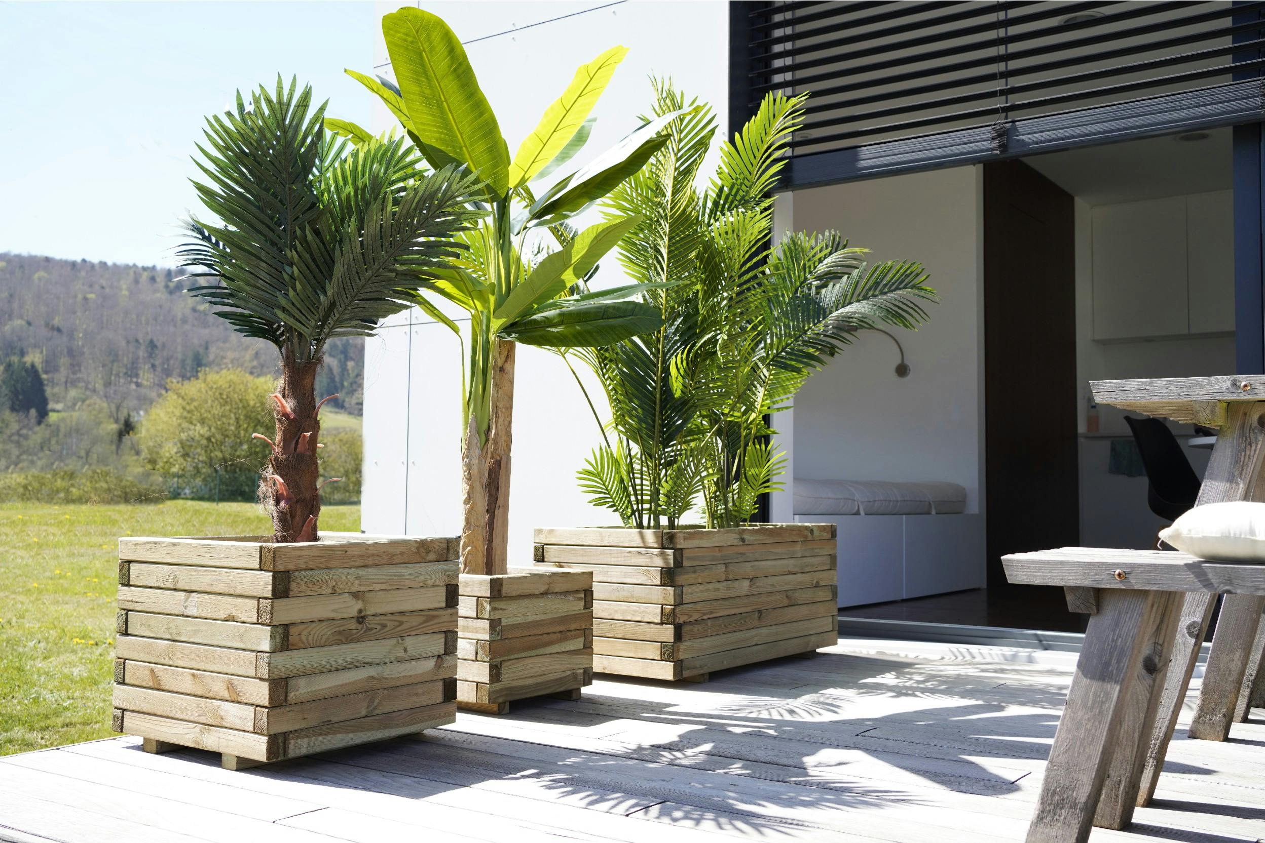 Drei grosse Pflanzenkübel mit Palmen und Bananenpflanze am Rande einer modernen Terrasse