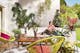 Frau entspannt in ihrer Outdoor-Lounge im Garten auf einem Ecksofa umgeben von weiteren Möbeln wie Couchtischen und Acapulco-Stühlen sowie Gewächsen in großen Pflanzkübeln