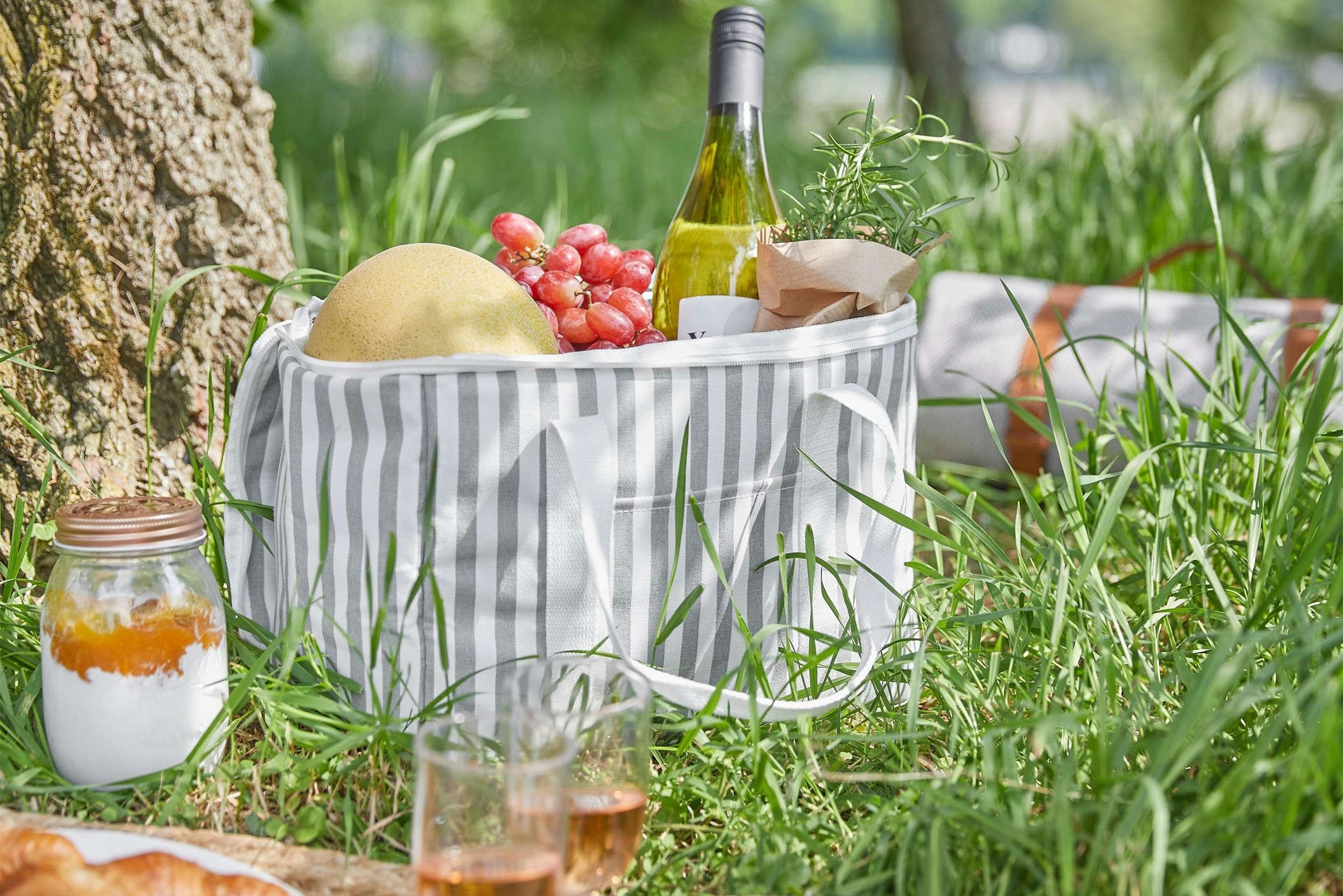Grau-weiss gestreifte Kühltasche mit Wein, Trauben und Melone im Gras neben einem Baum