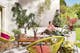 Familienfreundlich gestaltete Outdoor-Lounge im Garten bestehend aus einem Ecksofa mit Holzgestell und beiger Polsterauflage, mehreren Tischen, einer hellgrünen Sitzgruppe im Acapulco-Look sowie einem Muster-Teppich, dekoriert mit Blumen und Ziergewächsen