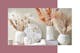 Verschillende witte vazen met neutrale en gekleurde droogbloemen, siergrassen en pampagras; daarnaast een gedekte tafel met een groot boeket van roze en crèmekleurige droogbloemen.