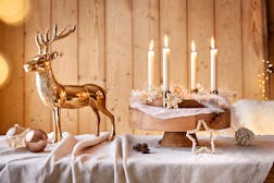 Adventskränze