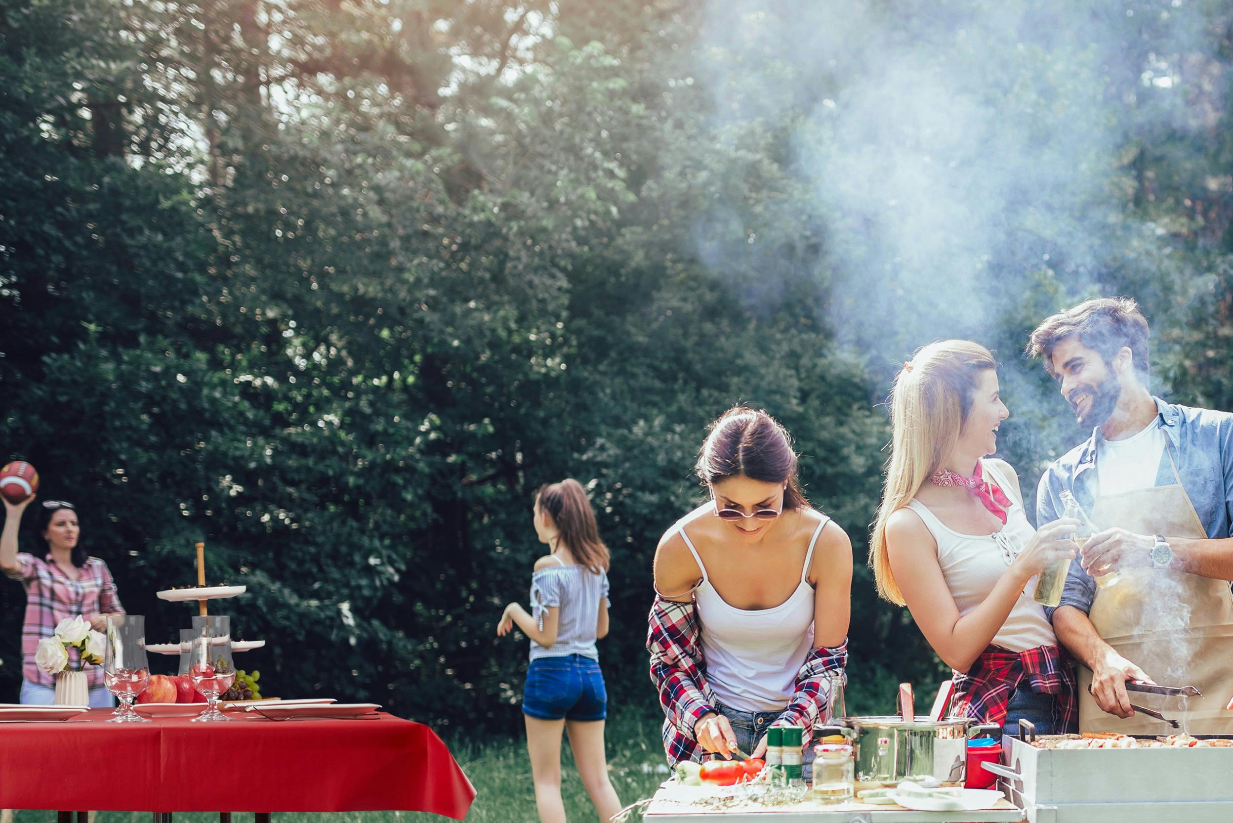 Menschen bei einer Grillparty Im Grünen 