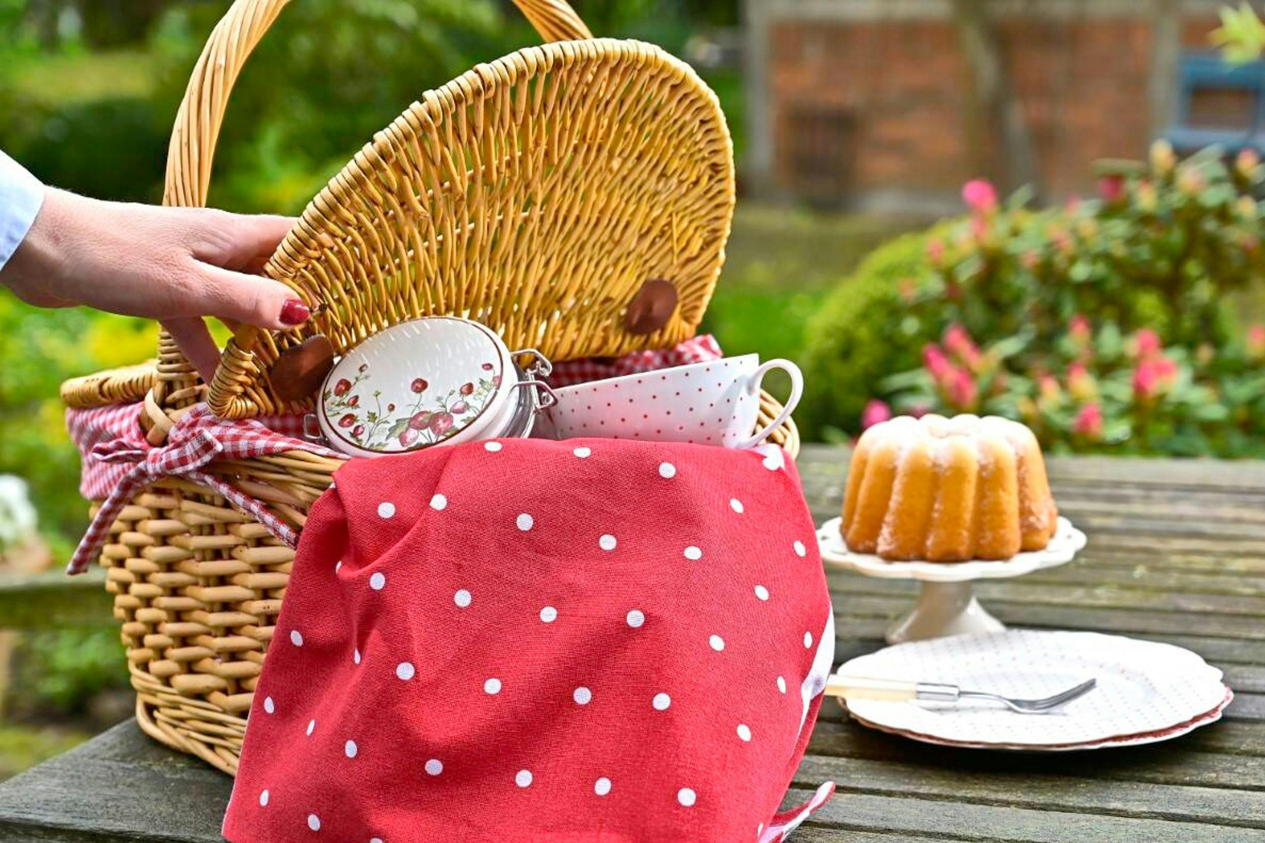 Picknickkorb mit gebunkteter Decke und Gugelhupf