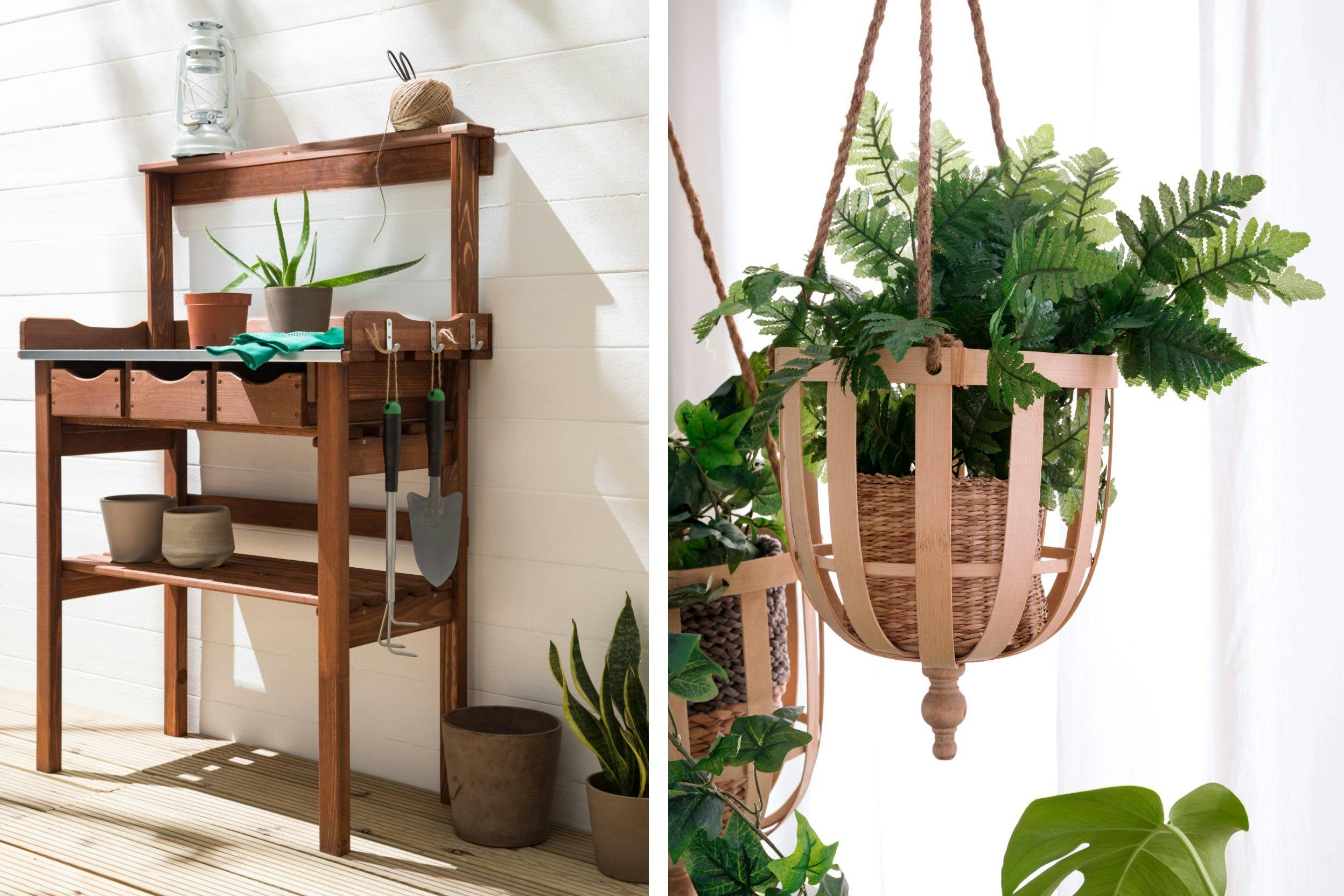 Deux photos. L'une est un gros plan d'une plante en pot suspendue, l'autre d'un meuble en bois avec divers outils de jardinages et plantes en pots