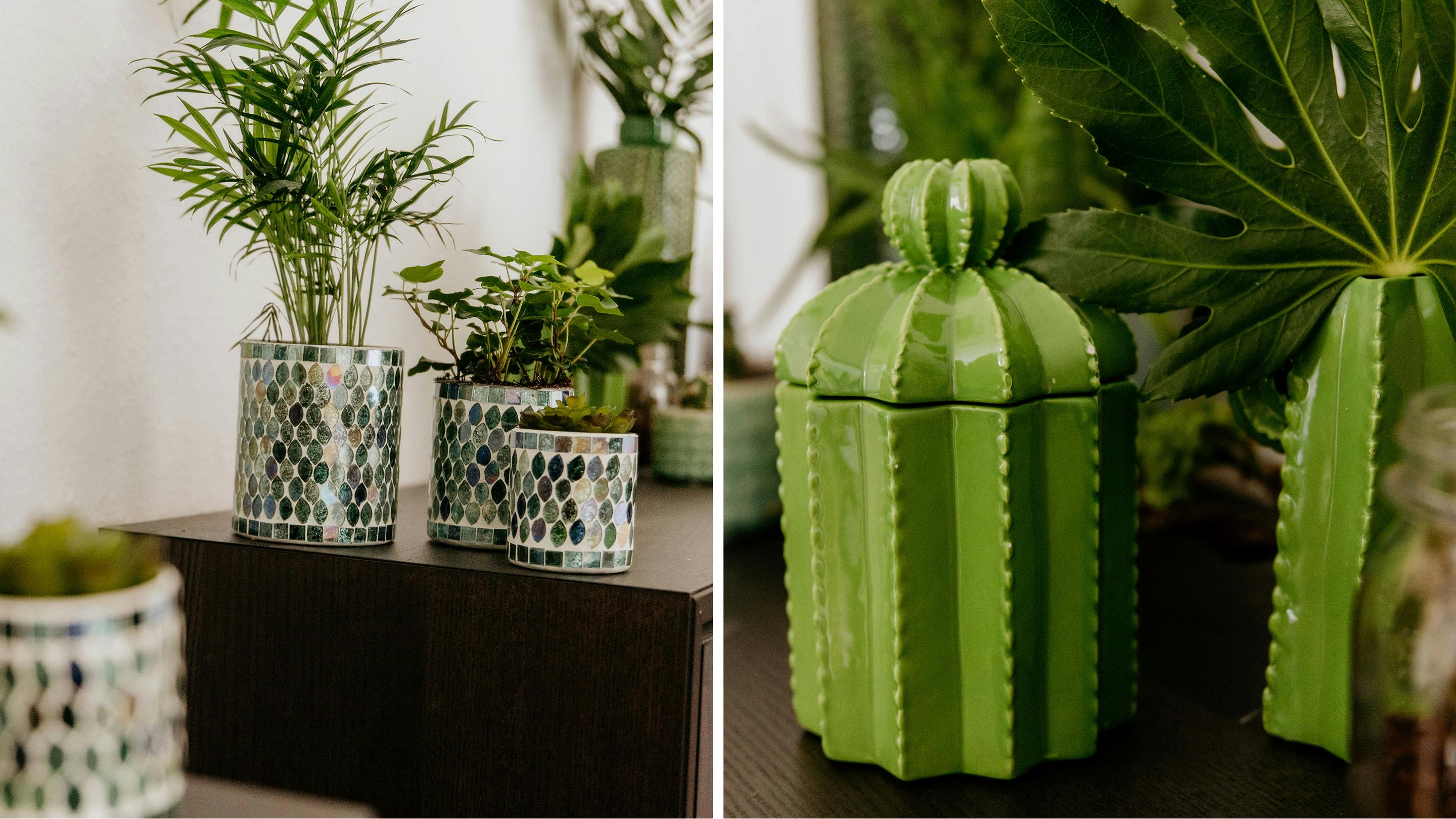 Grüne Zimmerpflanzen gehören zum Urban Jungle-Look dazu (Marke der Vasen und Deko-Objekte: Butlers).