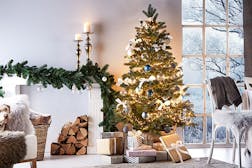 Weihnachtsbäume