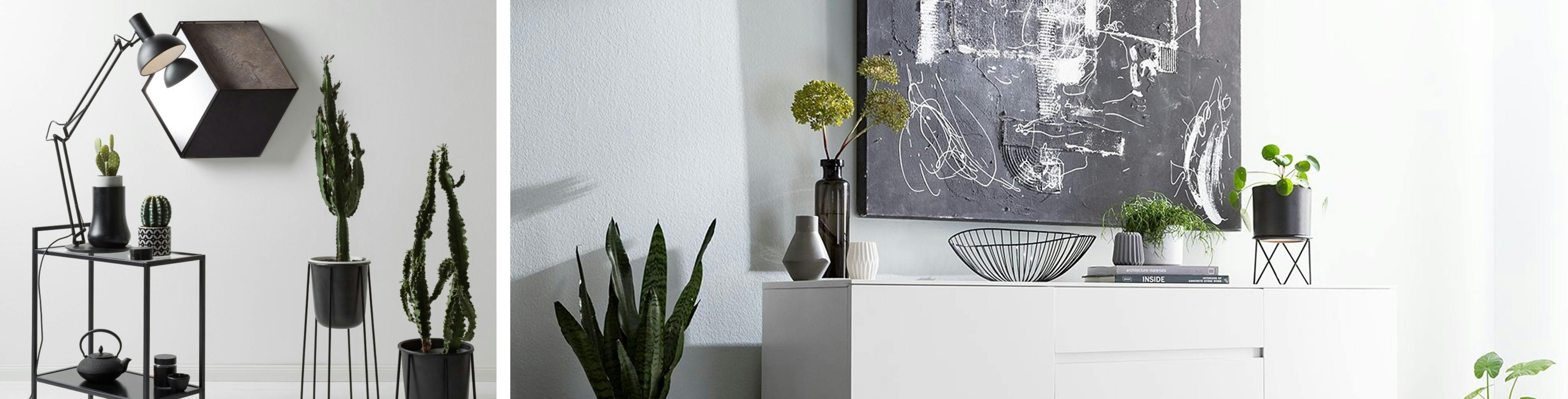 Stilsichere Einrichtung mit Deko, Pflanzen und Bildern