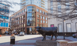 Things to do in Durham