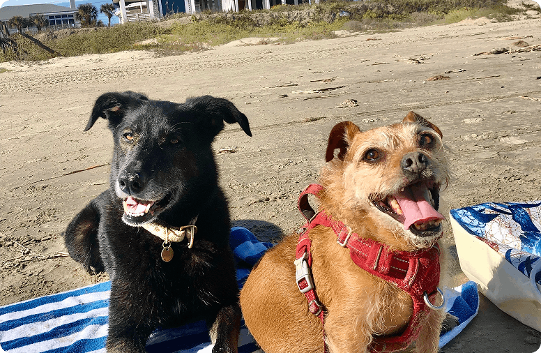 Quinn and Patrick 1
