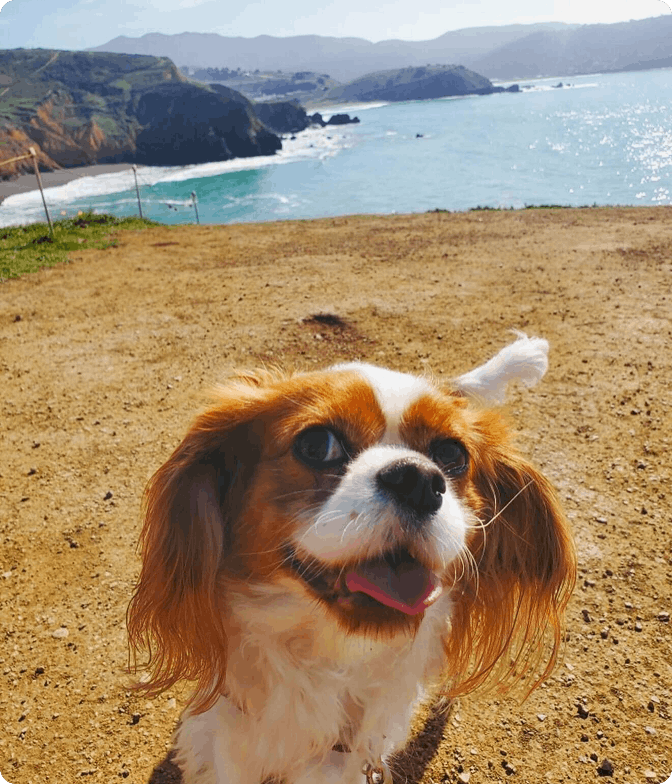 Rory 2