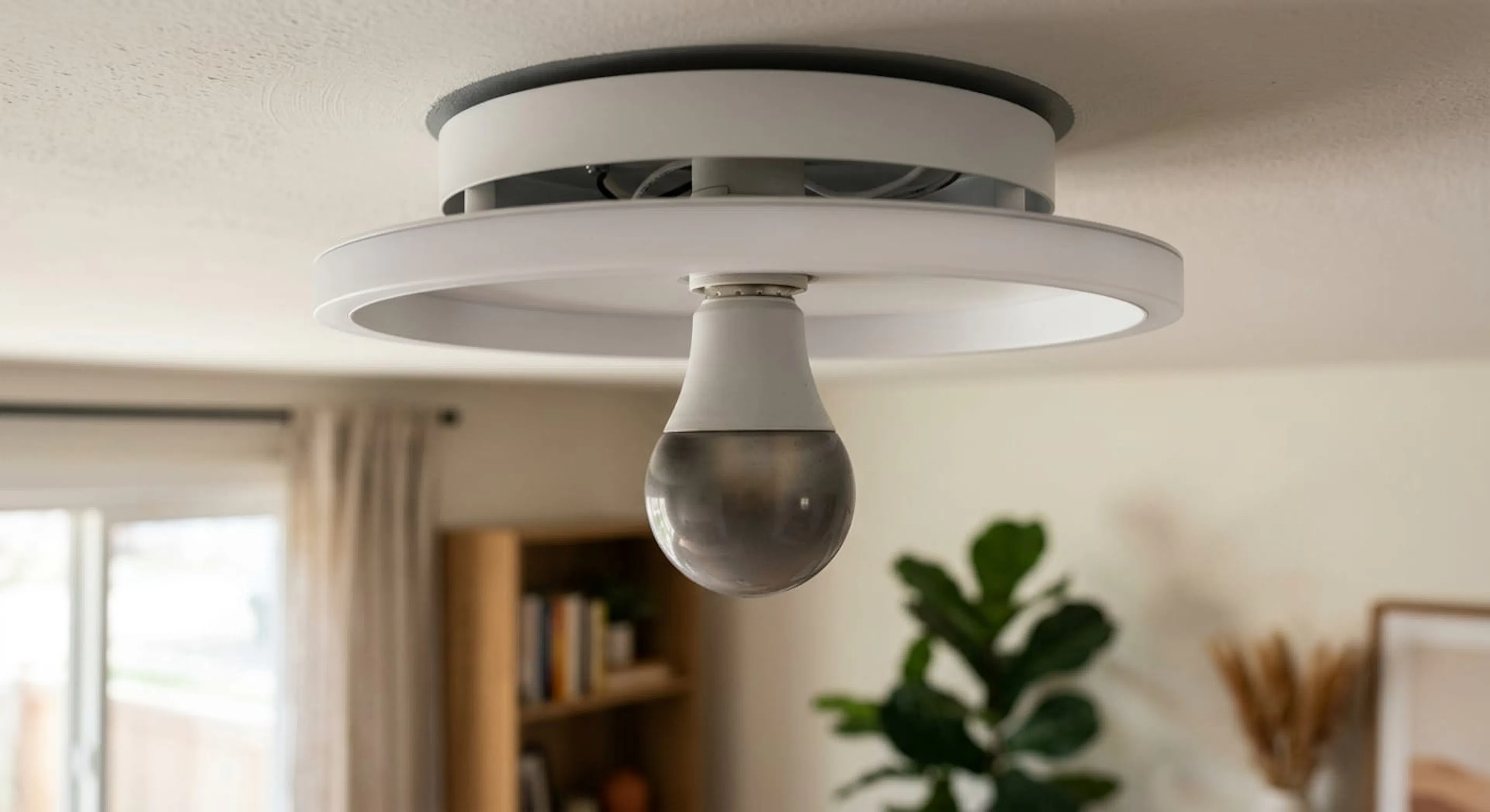 Ceiling light fixture with an exposed bulb