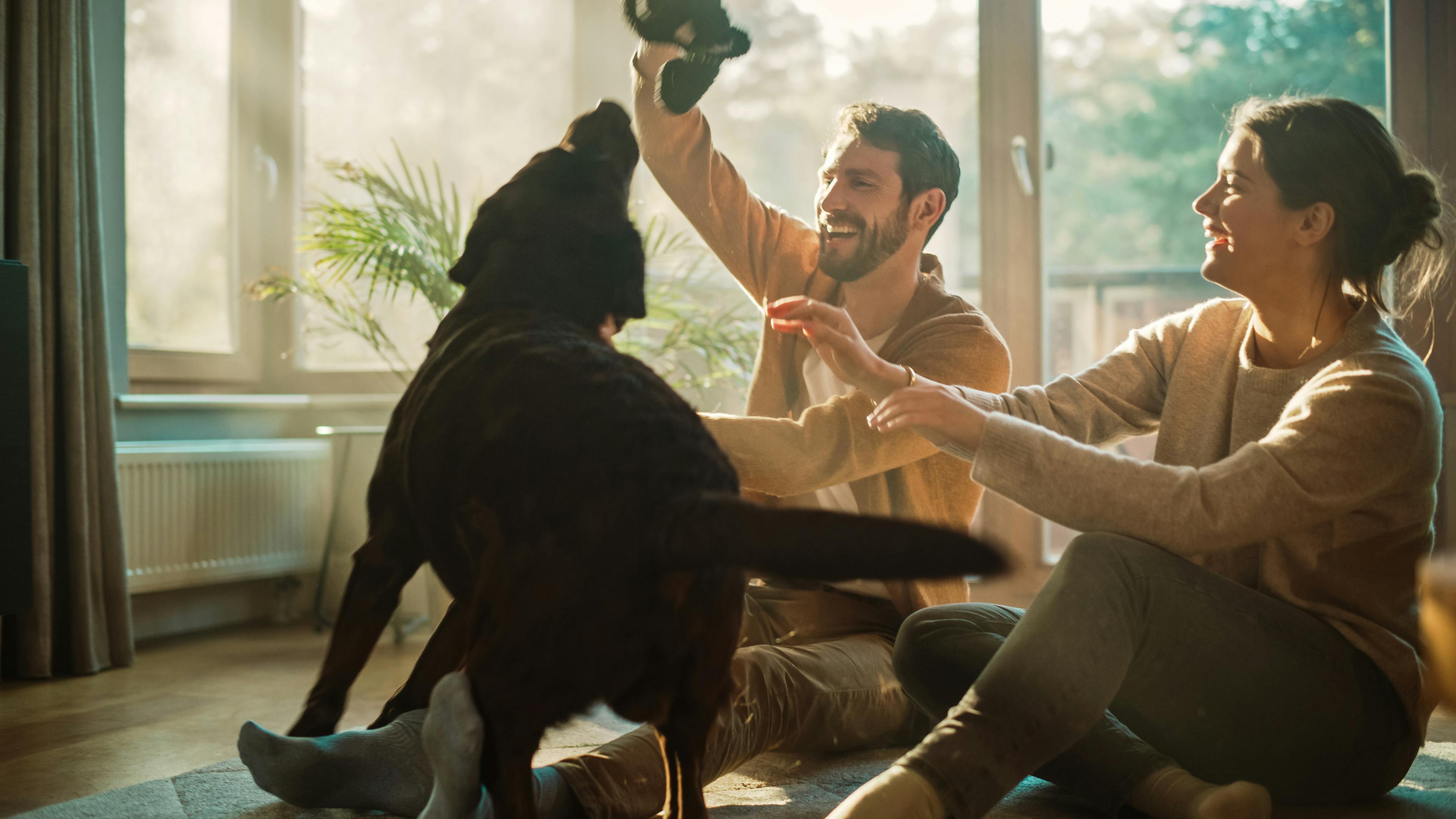 Couple plays with their dog on the floor in a sunlit room