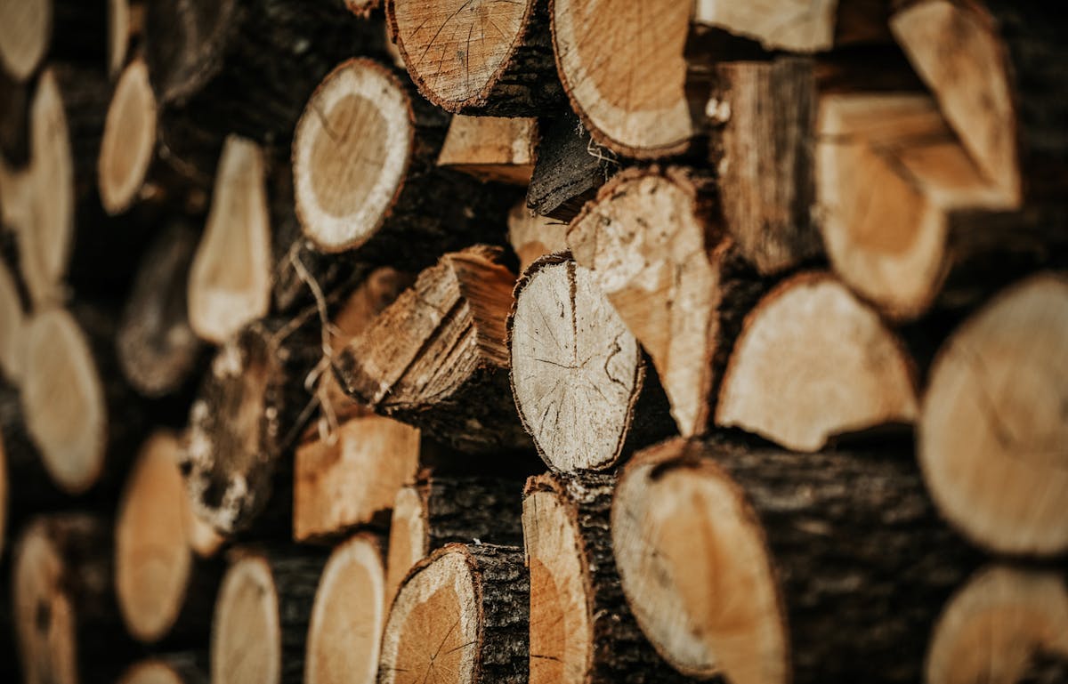 Conseils pour stocker son bois de chauffage